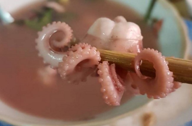 Mini Octopus: Special Local Food of Ha Long