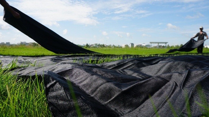 Lanh My A Silk: Queen of Silk from Tan Chau Village, Vietnam