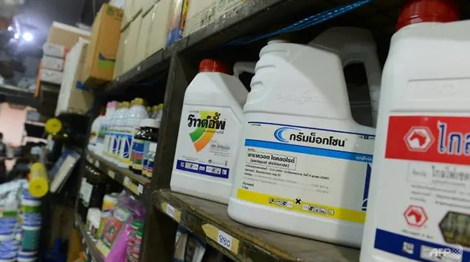 thailand reverses ban on glyphosate permit use of other pesticides for 6 months