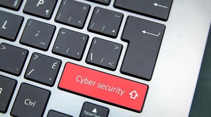 Vietnam ensures cooperation in cyber security within ADMM Plus