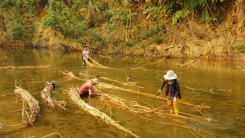 First FSC Certification for Non-Timber Forest Products in Vietnam