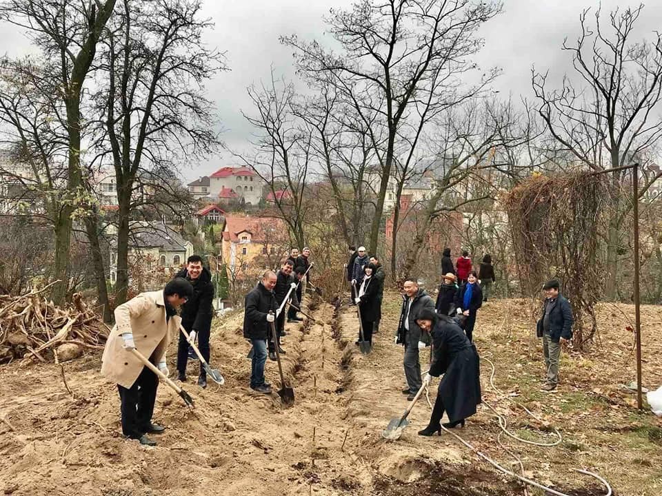 Embassy of Vietnam Plants Bamboo in Ukraine