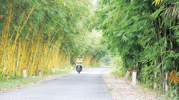 Embassy of Vietnam Plants Bamboo in Ukraine