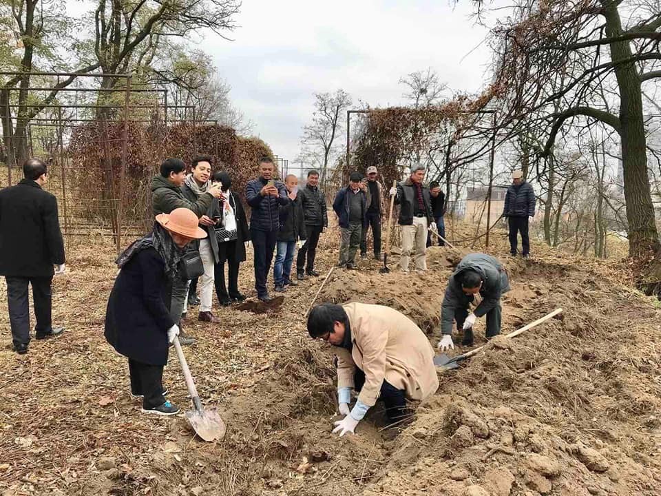 Embassy of Vietnam Plants Bamboo in Ukraine