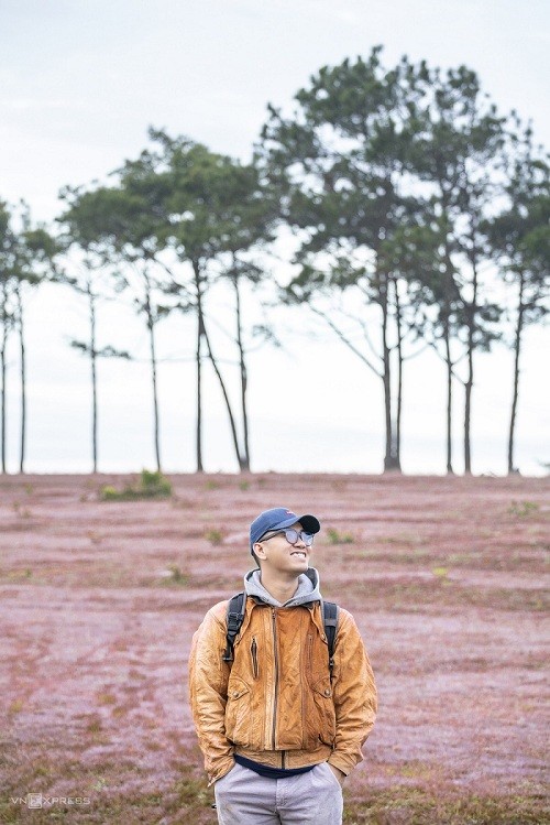 Romantic Pink Grass hills in Da Lat