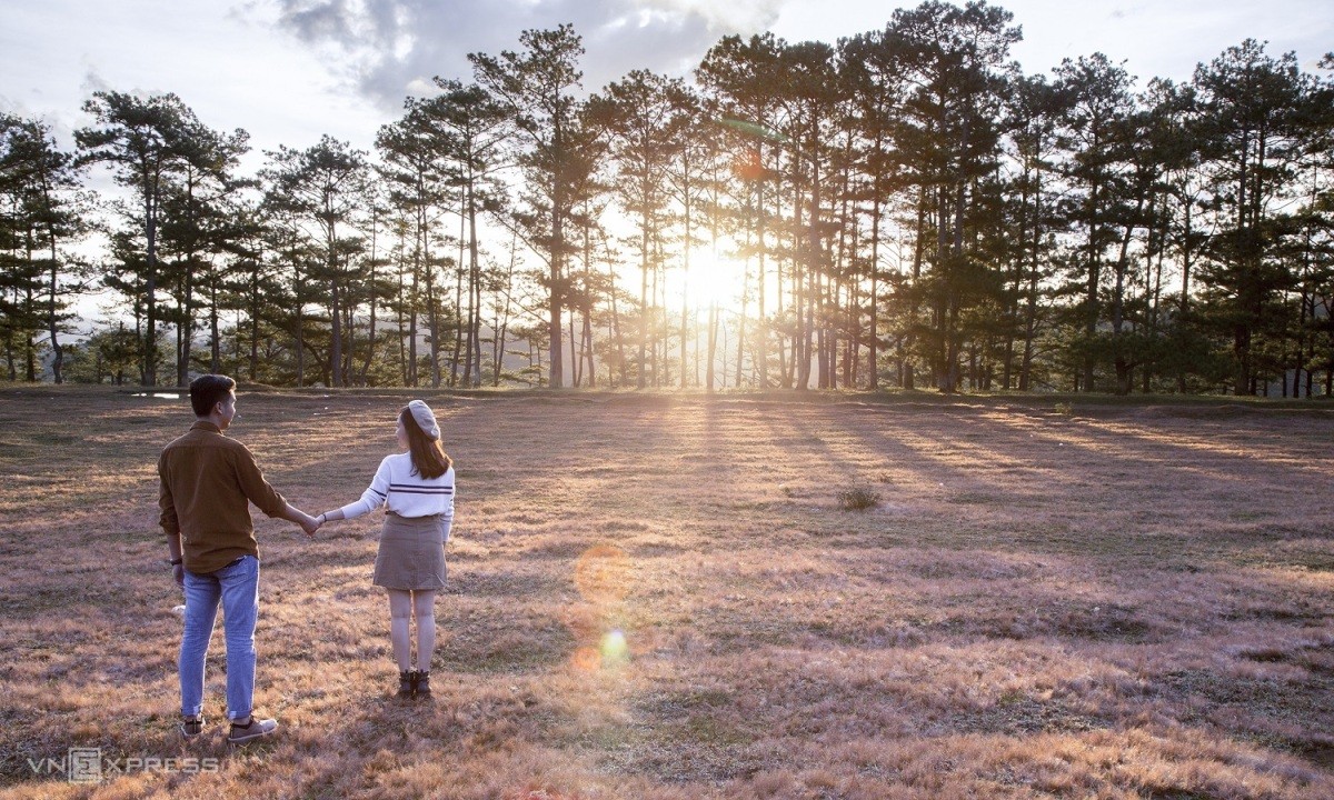 Romantic Pink Grass hills in Da Lat