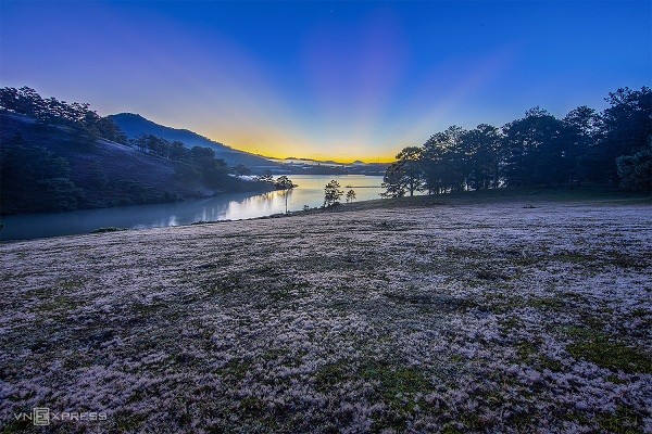 Romantic Pink Grass hills in Da Lat