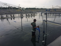improving the sustainability and efficiency of aquaculture production in vietnam