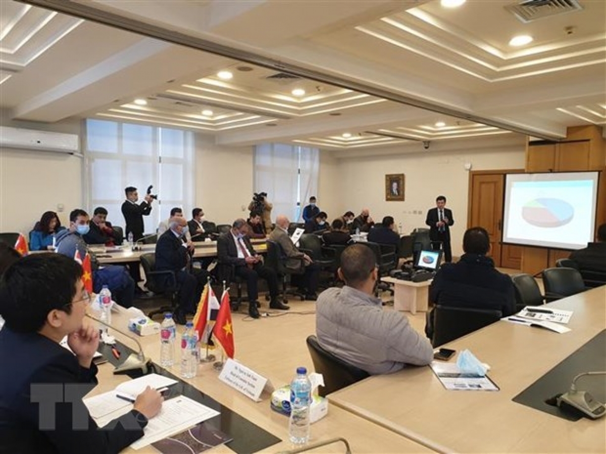 Online exchanges connect Vietnam, Egypt enterprises amid COVID-19