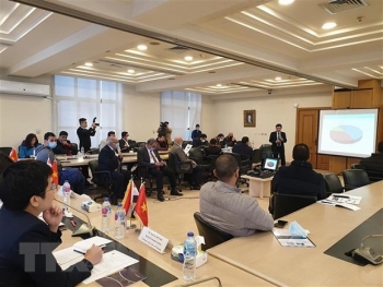 Online connect exchanges Vietnam, Egypt enterprises amid COVID-19