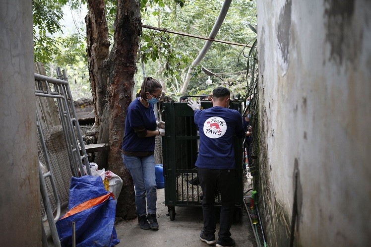 Son La Becomes Vietnam's 41st Bear Bile-Free Province