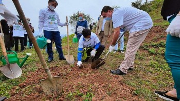 Embassies Plant Trees and Raise Awareness of Greener Life in Vietnam