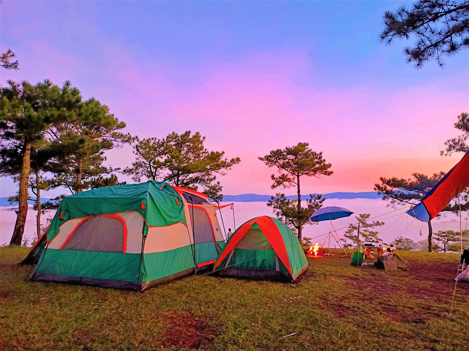 vietnamese choosing forest camping to escape covid 19