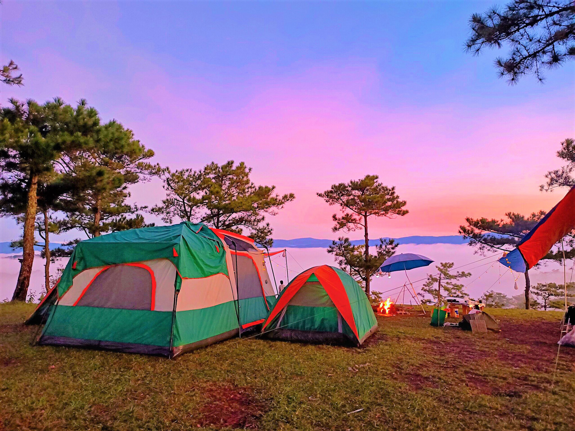 Vietnamese choosing forest camping to escape Covid-19