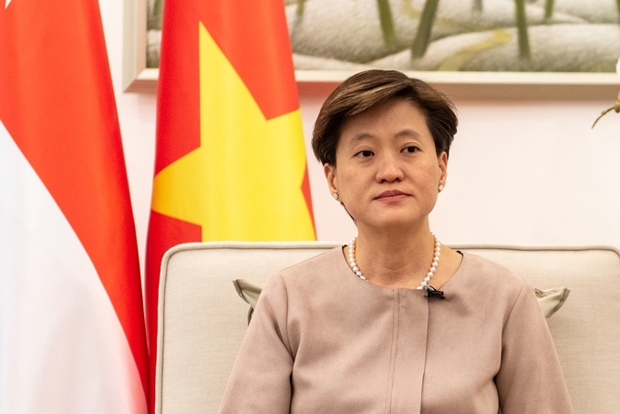 Singapore Seeking New Fields Of Cooperation With Vietnam