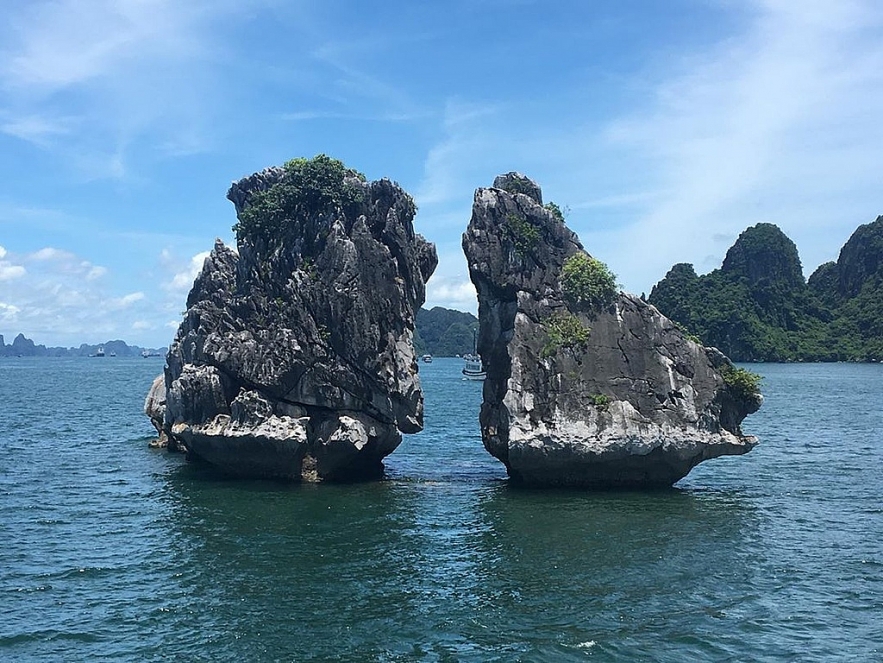 the famous islands named after animals in vietnam
