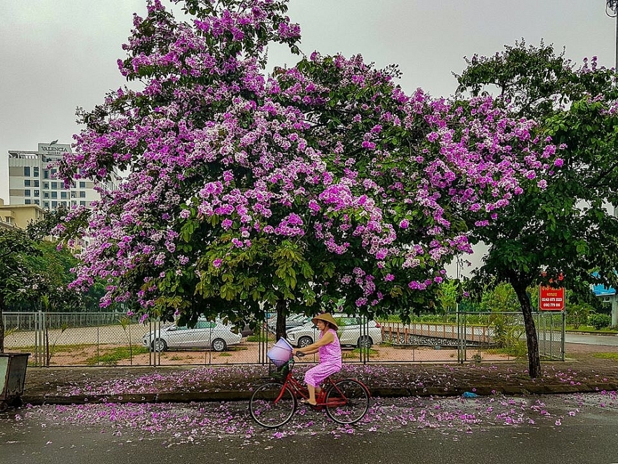 hanoians peaceful life on early days of summer