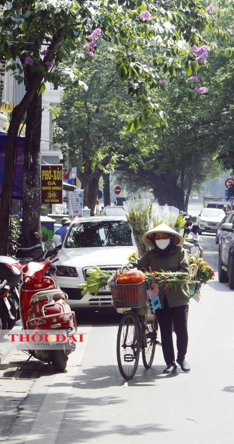 hanoians peaceful life on early days of summer