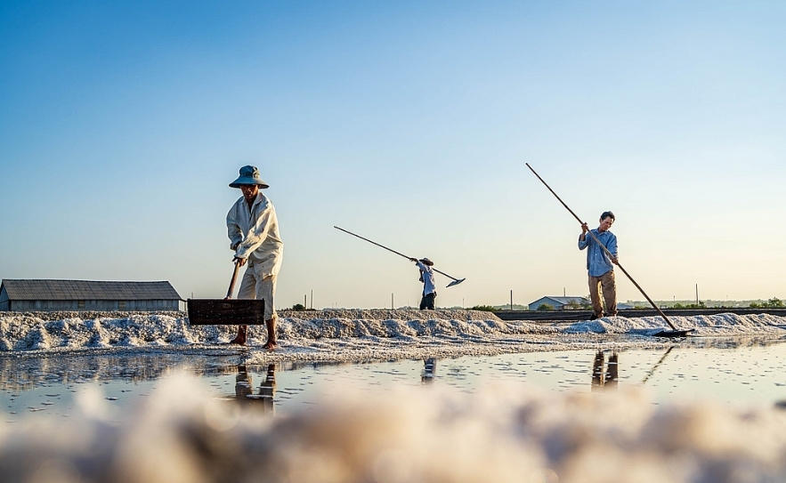 the beauty of labour on long dien salt flats