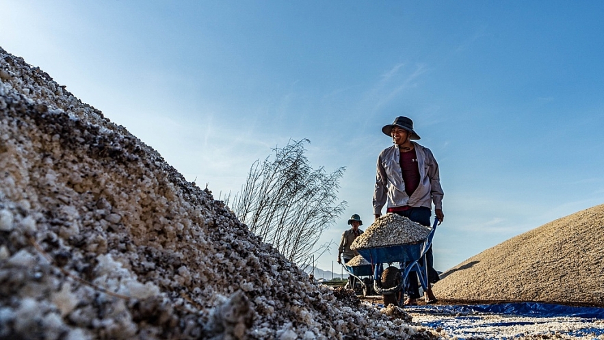 the beauty of labour on long dien salt flats