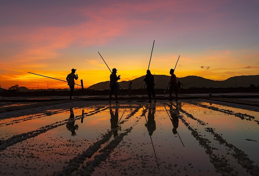 the beauty of labour on long dien salt flats