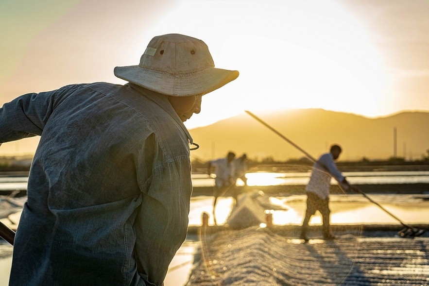 the beauty of labour on long dien salt flats