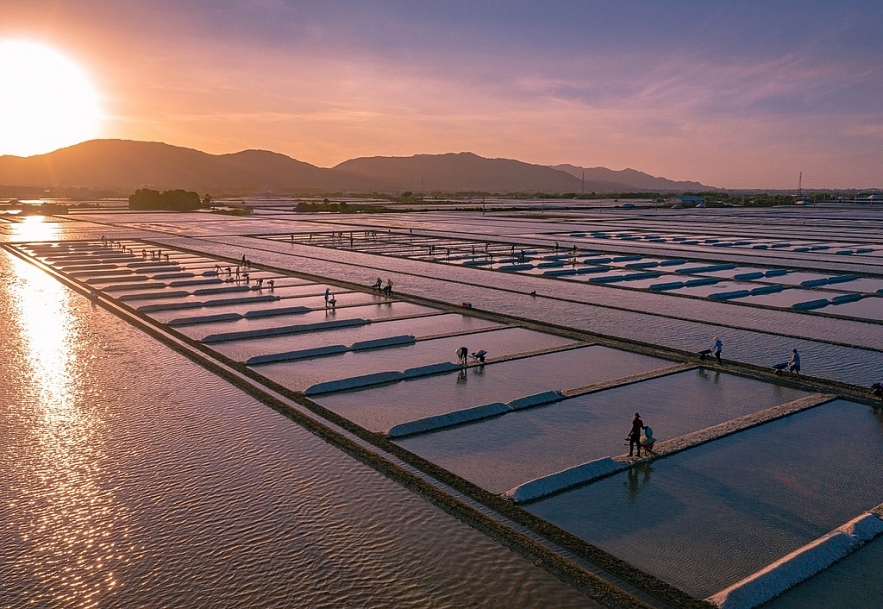 the beauty of labour on long dien salt flats