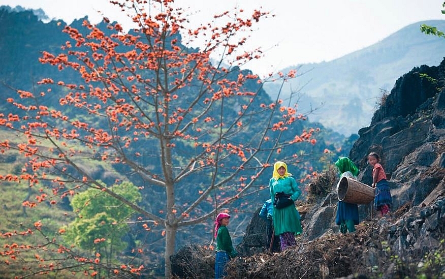 mind blowing scenery of dong van karst plateau geopark