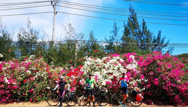 Discover beautiful coastline road and pristine beaches from Vung Tau to Binh Dinh