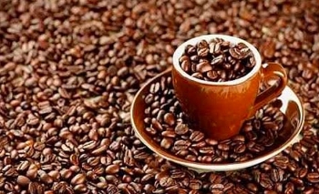 increase in vietnamese coffee volume exported to eu
