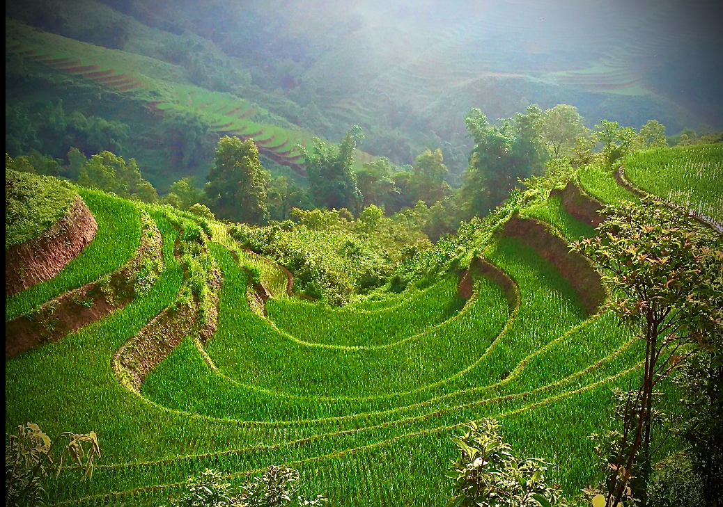 Spectacular beauty of the mountainous northwest of Vietnam spectacular beauty of the mountainous northwest of vietnam