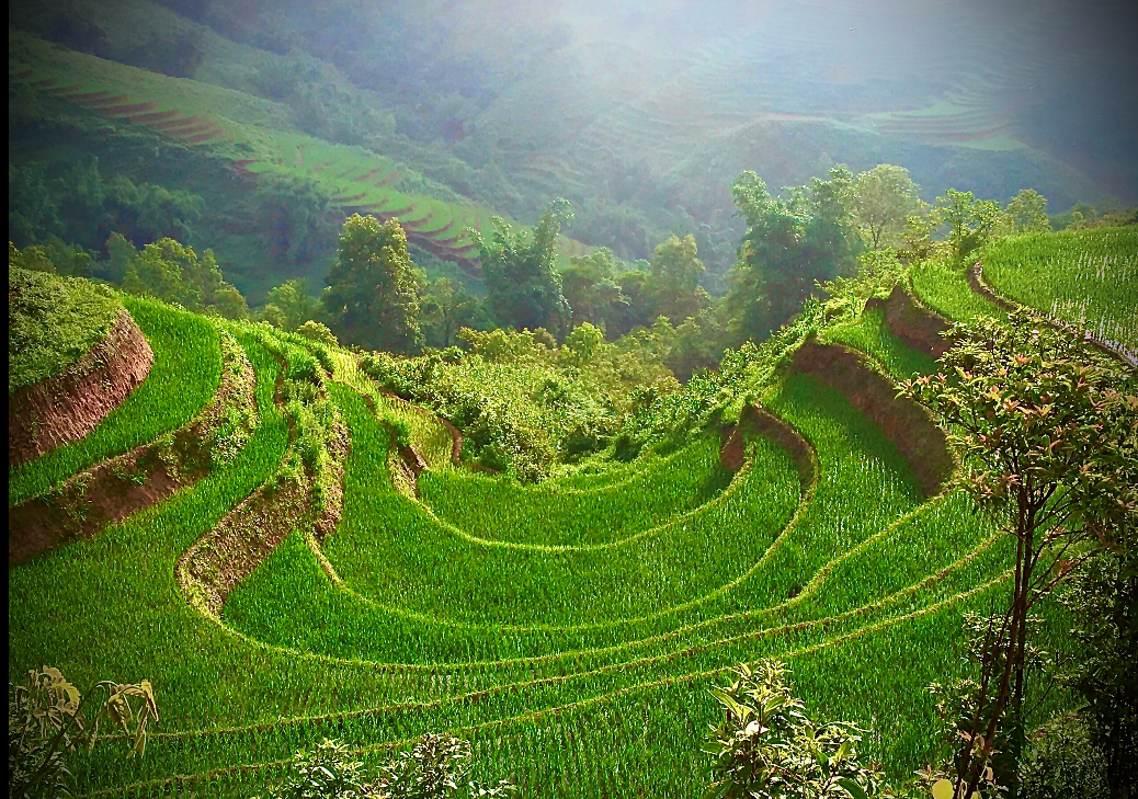 spectacular beauty of the mountainous northwest of vietnam