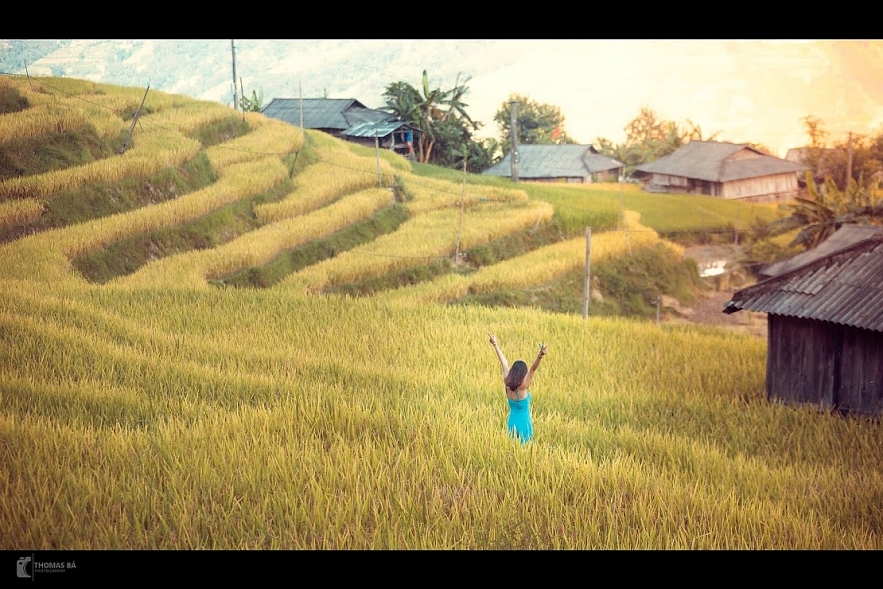 spectacular beauty of the mountainous northwest of vietnam