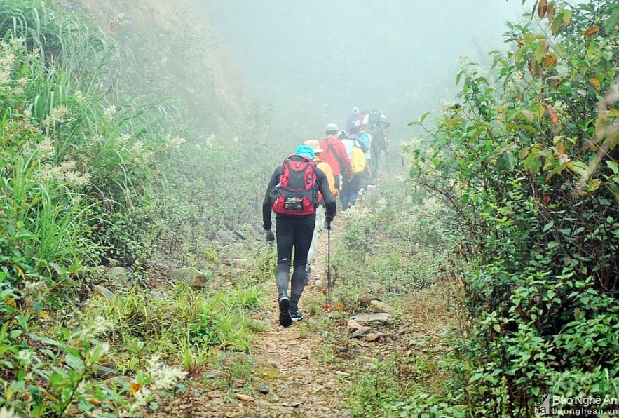 puxailaileng the highest peak in truong son ranges