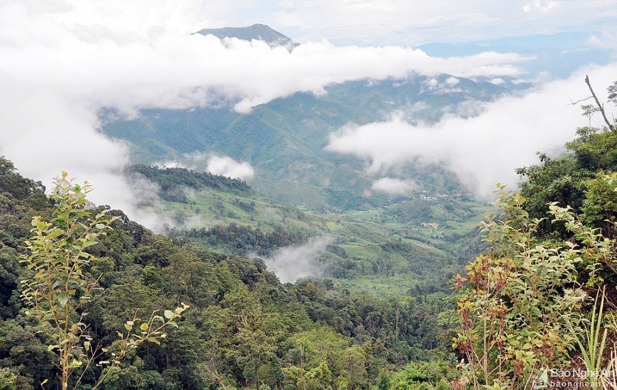 puxailaileng the highest peak in truong son ranges