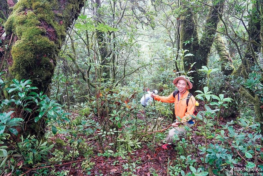 puxailaileng the highest peak in truong son ranges