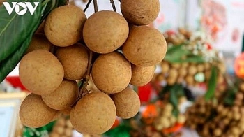Vietnam to resume exporting fresh fruit to U.S market despite Covid-19