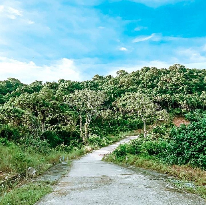 tho chu pristine and charming hidden paradise in the southwest of vietnam