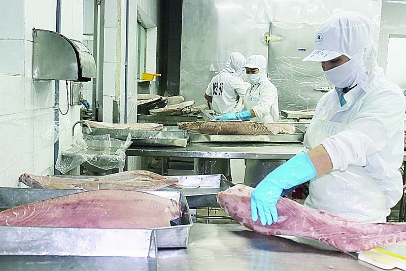 Increase in order from EU for Vietnamese seafood after EVFTA