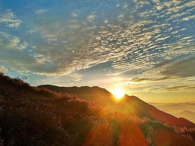 the endless purple field on the top of ta chi nhu mountain in the northwest of vietnam