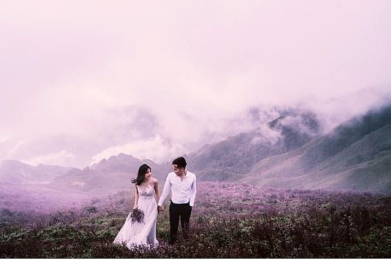 the endless purple field on the top of ta chi nhu mountain in the northwest of vietnam