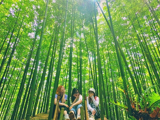 Lost in the Na Hang Tua Chu Bamboo Forest in the Northwest of Vietnam lost in the na hang tua chu bamboo forest in the northwest of vietnam