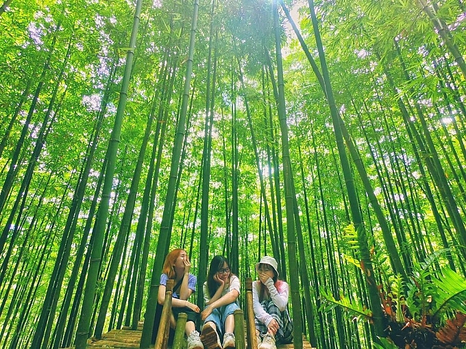 lost in the na hang tua chu bamboo forest in the northwest of vietnam