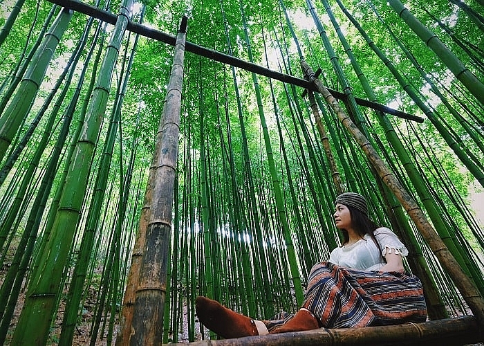 lost in the na hang tua chu bamboo forest in the northwest of vietnam