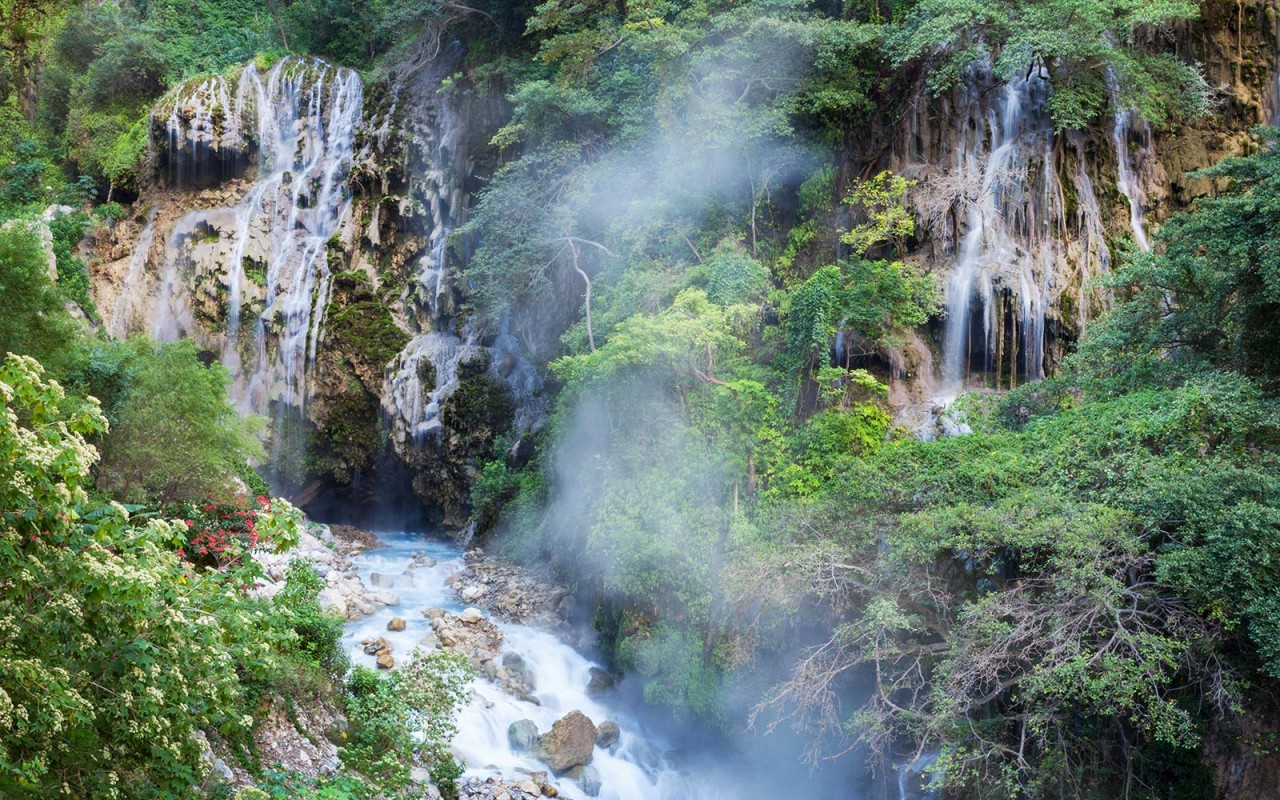 Photo: BRIAN OVERCAST / ALAMY