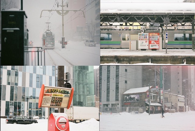 A White Hokkaido in Snowstorm Captured by Vietnamese Street Photographer