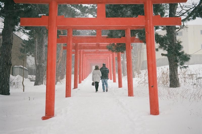 A White Hokkaido in Snowstorm Captured by Vietnamese Street Photographer