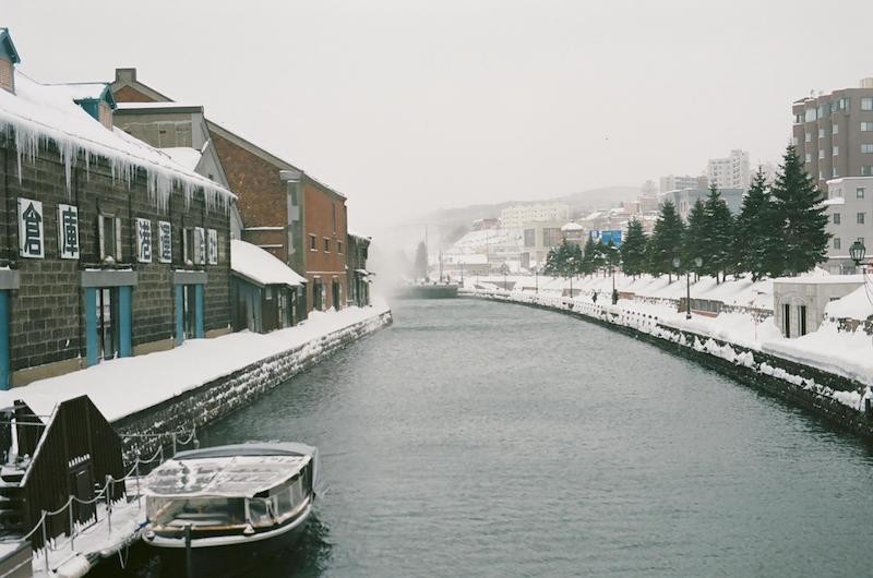 A White Hokkaido in Snowstorm Captured by Vietnamese Street Photographer