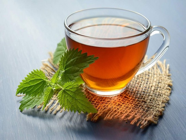 Top 9 Best Herbal Teas to Stay Healthy this Winter