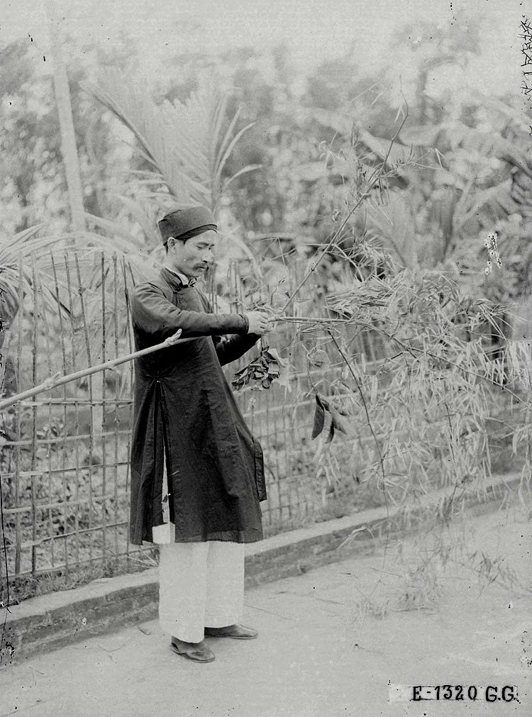 Lunar New Year in Hanoi A Century Ago in Photos